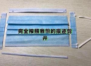 逆境重生辐射口罩怎么弄