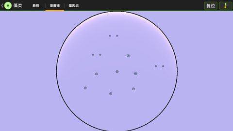 细胞实验室游戏截图3