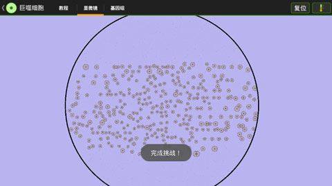 细胞实验室游戏截图5